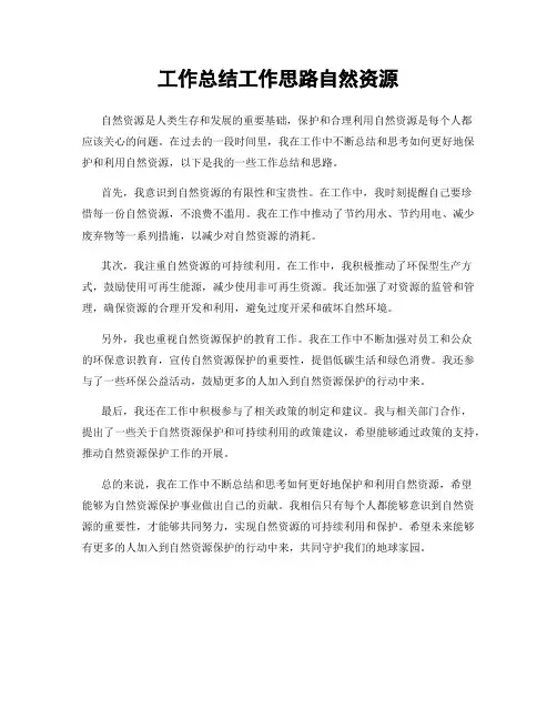 工作总结工作思路自然资源