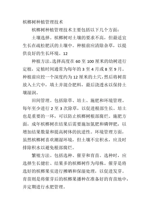 槟榔树种植管理技术