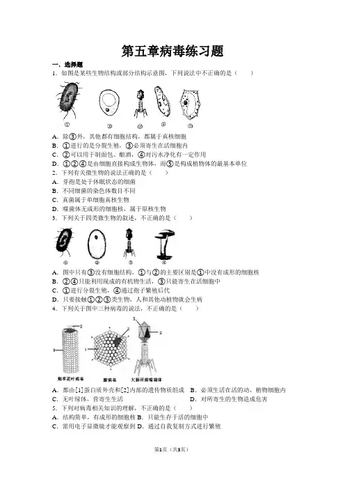 第五章病毒练习题