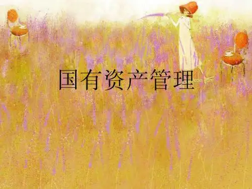 国有资产管理