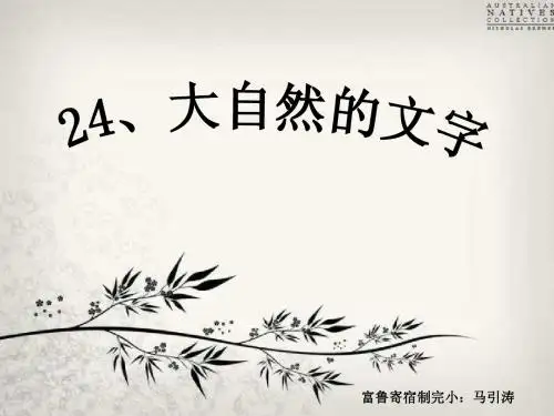 大自然的文字PPT课件