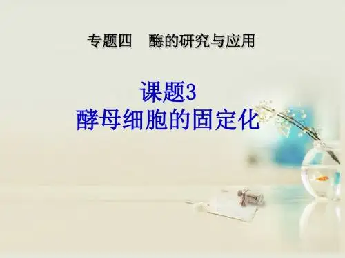 高中生物《第四章 第三节 酵母细胞的固定化》课件5 新人教版选修1