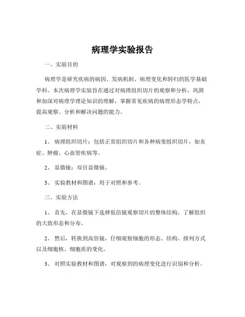 病理学实验报告