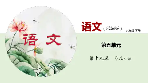 19《枣儿》优秀课件