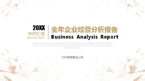 企业年度经营分析报告PPT