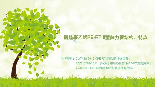 耐热聚乙烯PE-RTII型热力管结构、特点