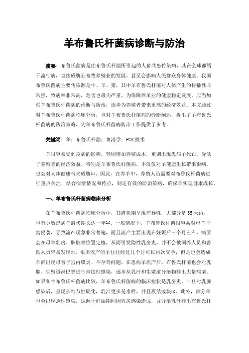 羊布鲁氏杆菌病诊断与防治