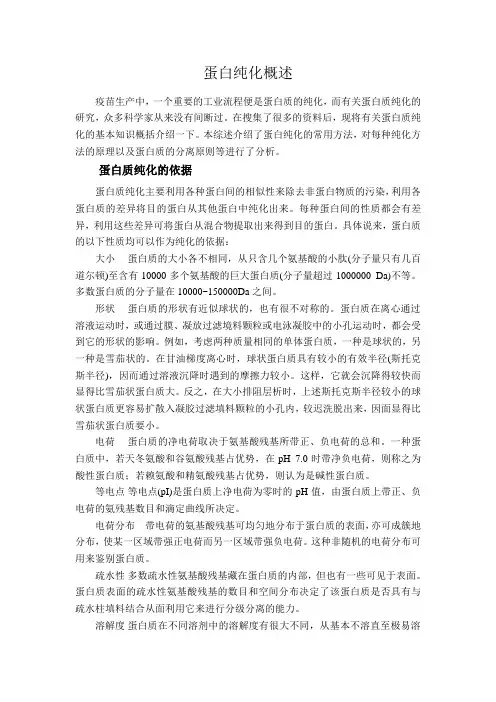 蛋白纯化概述