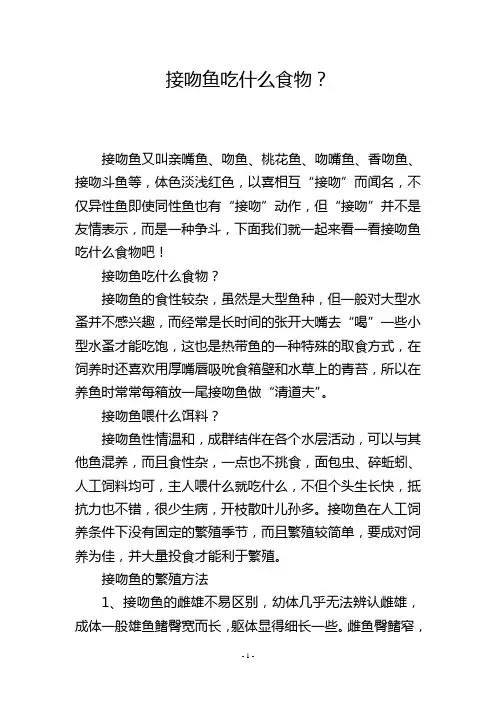 接吻鱼吃什么食物？