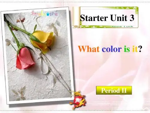 What color is it PPT课件 24 人教版