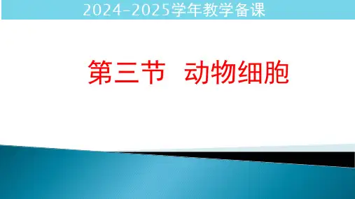 人教版(2024)生物七年级上册1.2.3《动物细胞》课件