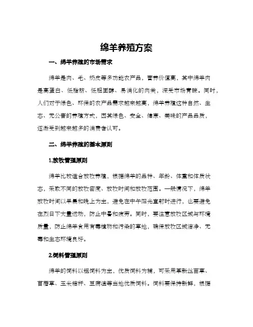 绵羊养殖方案