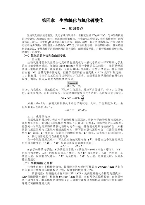 第四章 生物氧化与氧化磷酸化