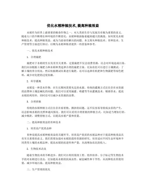 优化水稻种植技术,提高种植效益