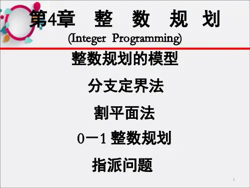 整数规划教学课件PPT_OK