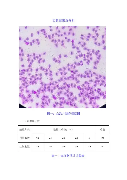 血细胞计数实验报告