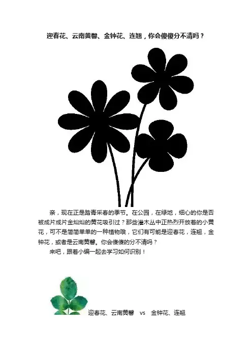 迎春花、云南黄馨、金钟花、连翘，你会傻傻分不清吗？
