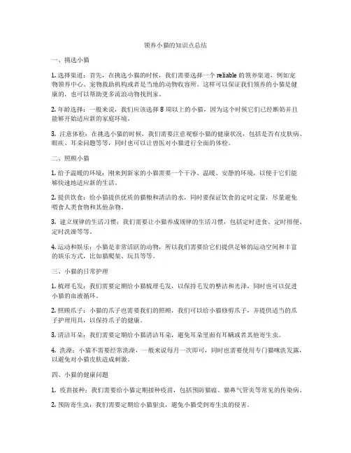 领养小猫的知识点总结