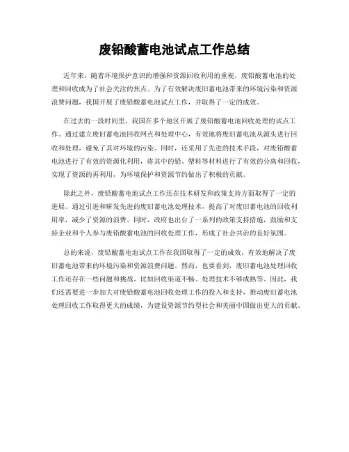 废铅酸蓄电池试点工作总结
