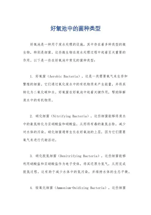 好氧池中的菌种类型