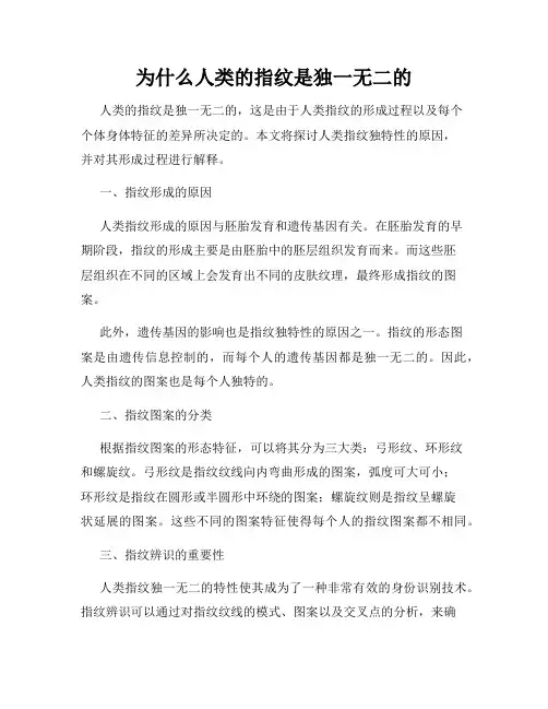 为什么人类的指纹是独一无二的