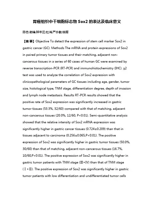 胃癌组织中干细胞标志物Sox2的表达及临床意义