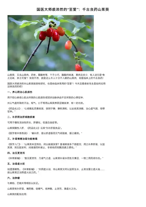 国医大师裘沛然的“至爱”：千古良药山茱萸