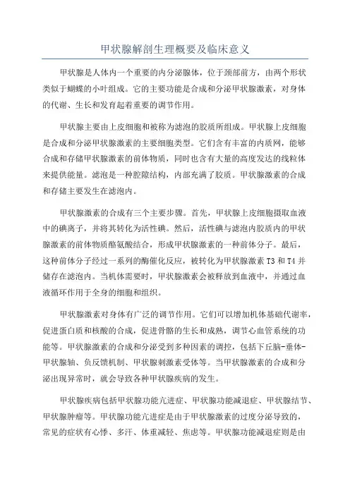 甲状腺解剖生理概要及临床意义