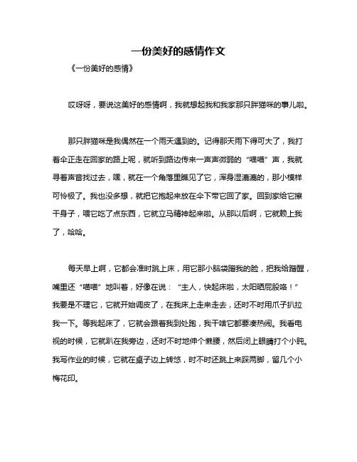 一份美好的感情作文