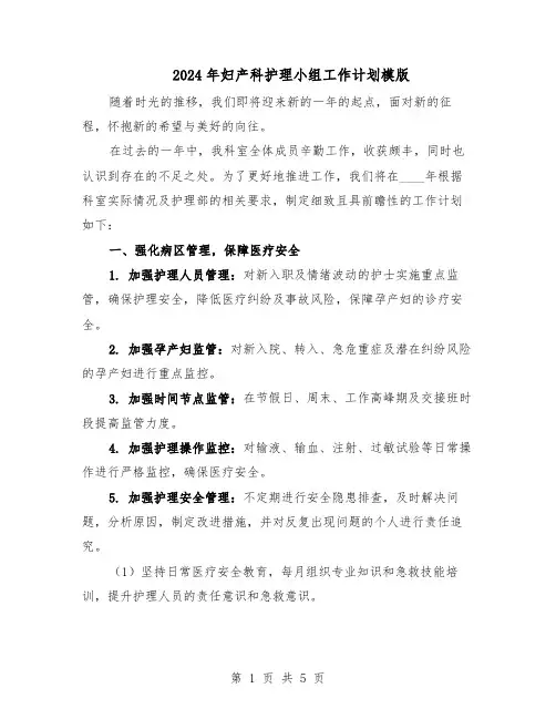 2024年妇产科护理小组工作计划模版(二篇)