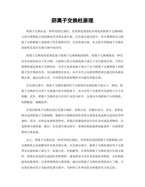 阴离子交换柱原理