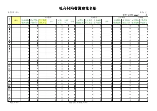 社会保险申报花名册 空表