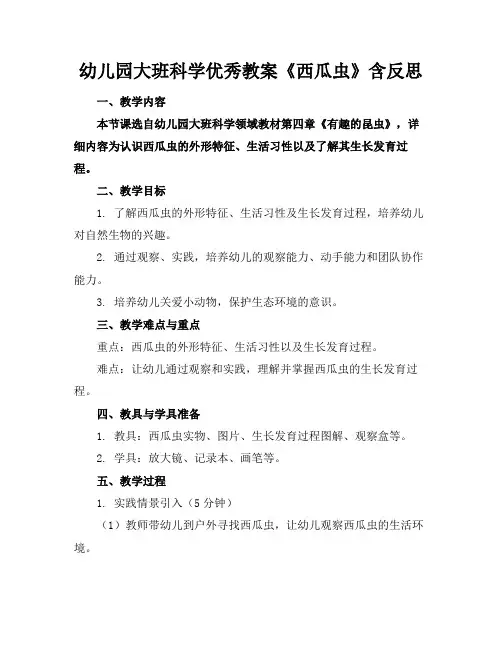 幼儿园大班科学优秀教案《西瓜虫》含反思