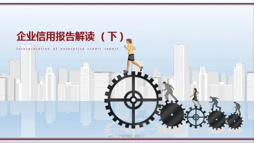 央行企业信用报告解读(下)PPT课件