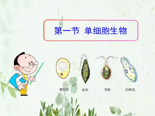 《单细胞生物》PPT课件 图文
