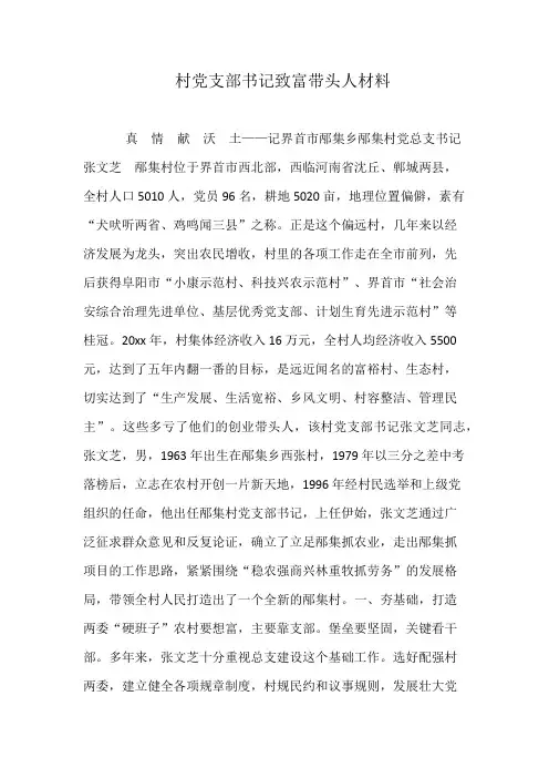 村党支部书记致富带头人材料