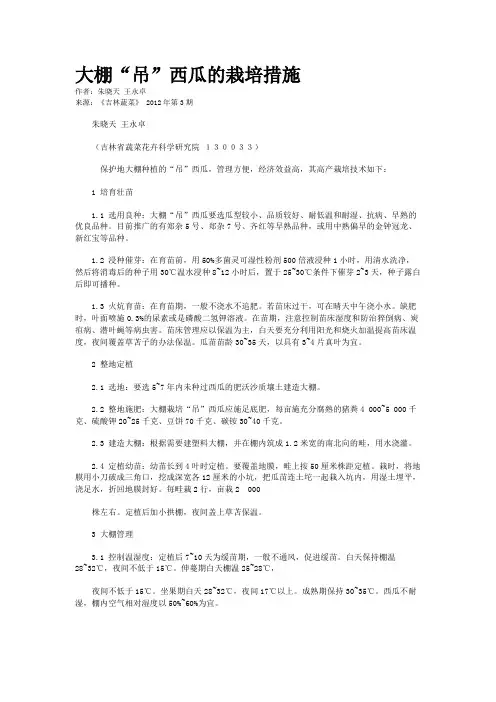 大棚“吊”西瓜的栽培措施