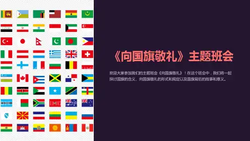《向国旗敬礼》主题班会