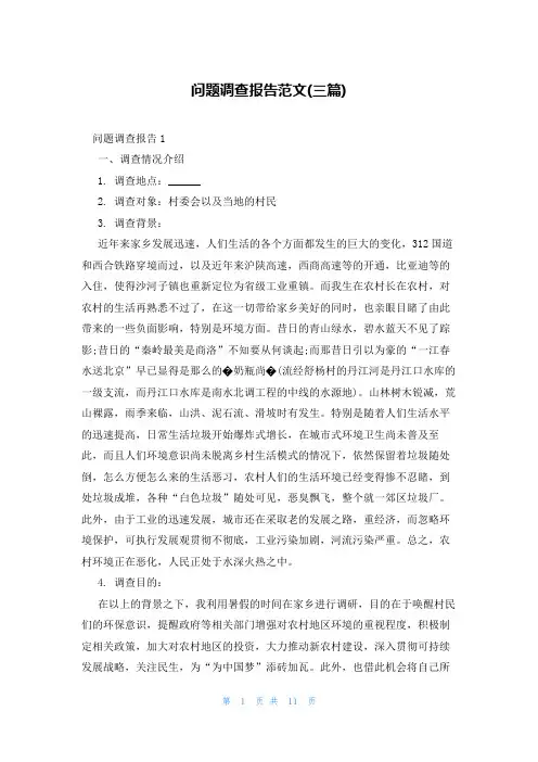 问题调查报告范文(三篇)