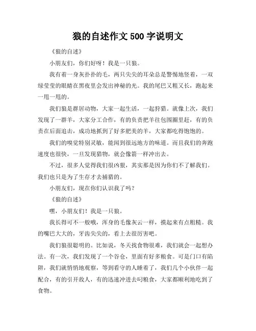 狼的自述作文500字说明文