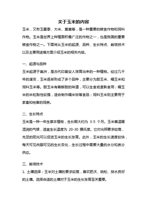 关于玉米的内容