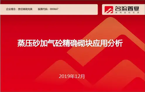 蒸压砂加气砼精确砌块应用分析-PPT课件