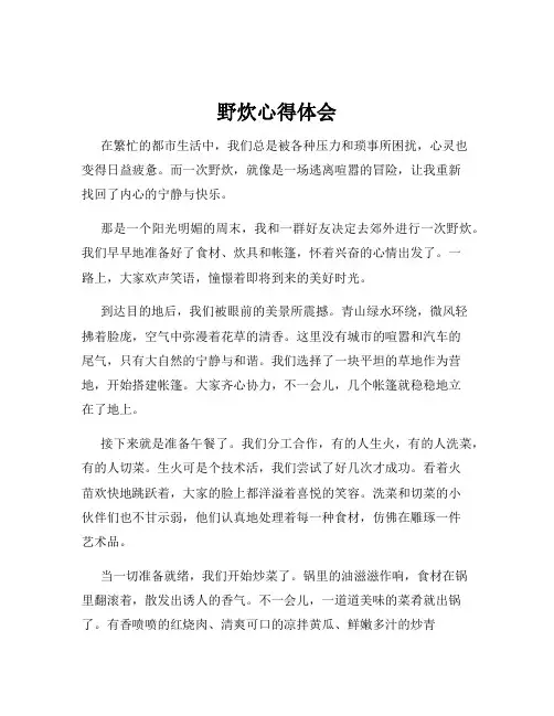 野炊心得体会