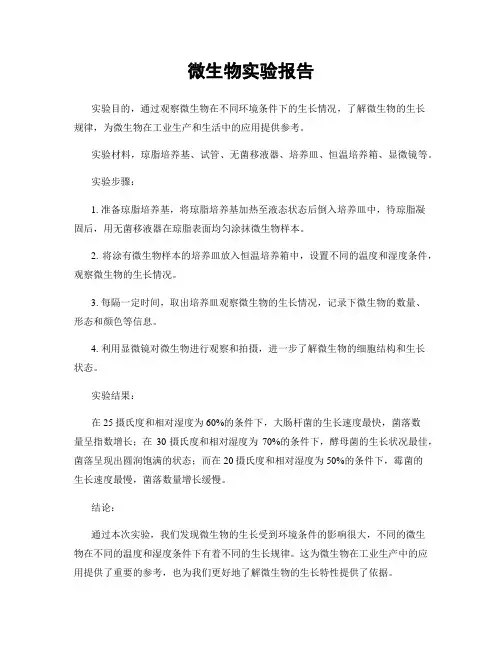 微生物实验报告