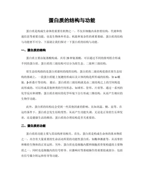 蛋白质的结构与功能