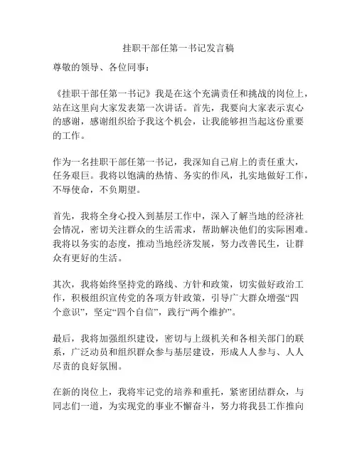 挂职干部任第一书记发言稿