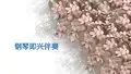 【幼师PPT培训课件】钢琴即兴伴奏