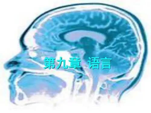 第11章 言语 认知心理学课件