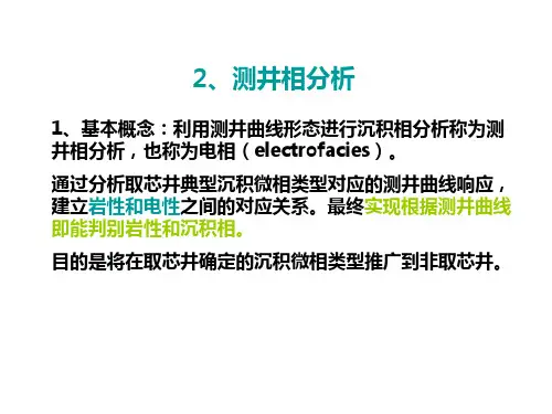 测井相分析及八大沉积