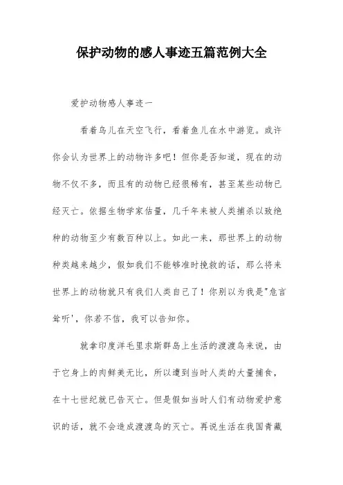 保护动物的感人事迹五篇范例大全